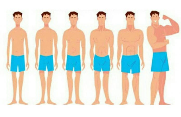 Badan terlalu kurus? Kami kongsi lima tips mudah bagaimana ...